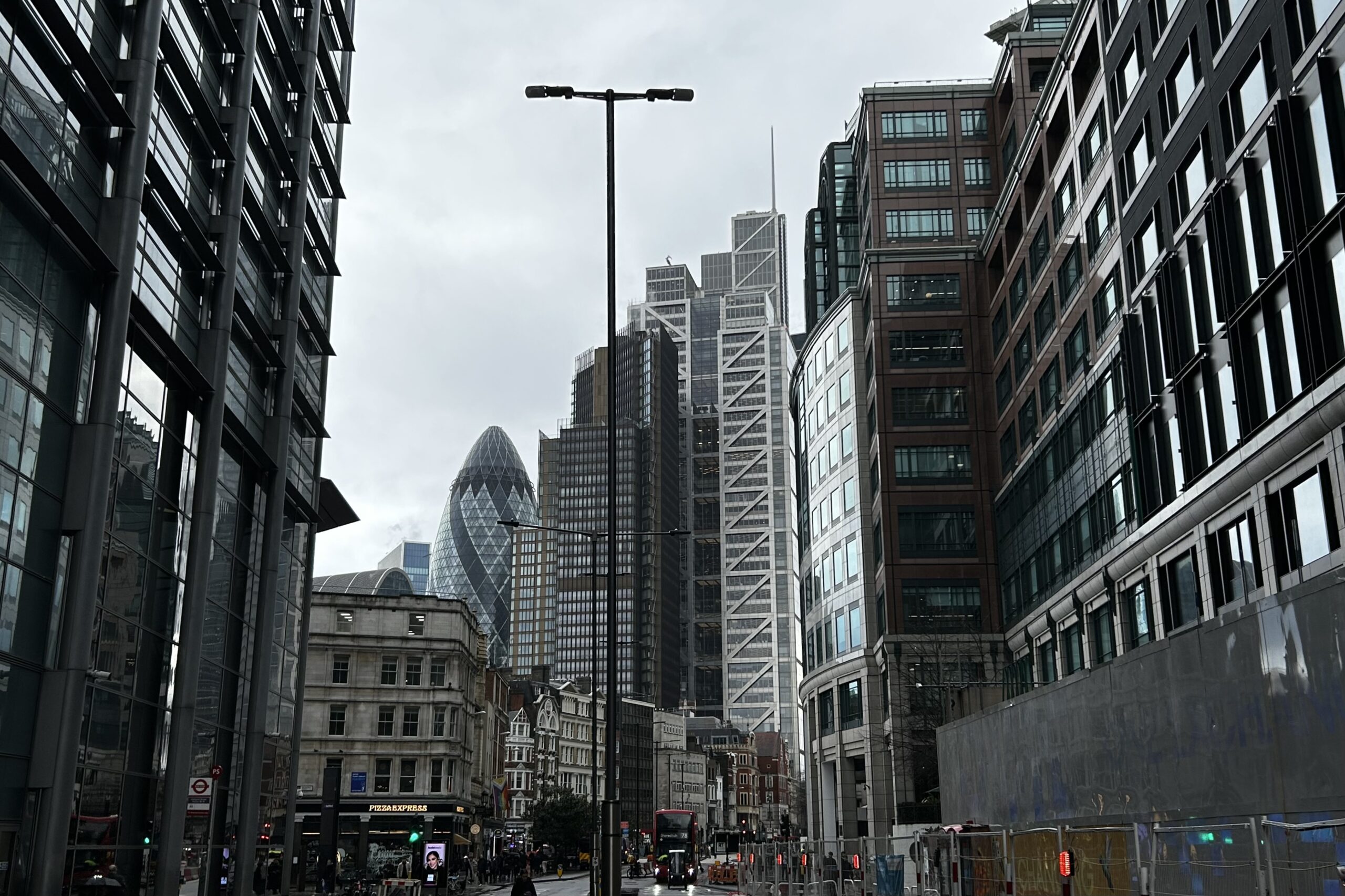 Wenn die Stadt uns krank macht – der Wald als Medizin